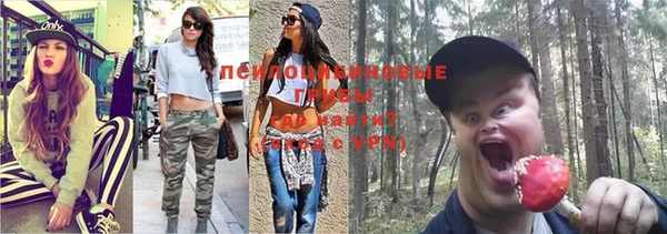 первитин Абинск